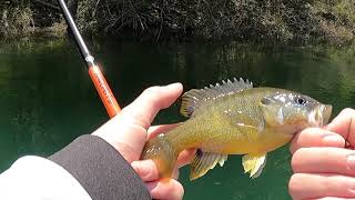 Table Rock, Lake Of the Ozarks, and bluegills