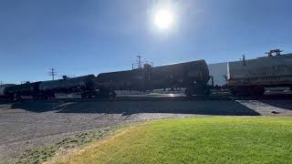 IMG 5644