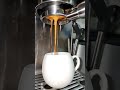 don't do this! bottomless portafilter #espresso #shorts