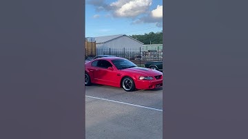 Coyote Swapped Terminator Cobra #terminator #coyote #mustang #newedge #v8 #ford #americanmuscle