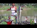 বিরাট বড় গজার মাছ শিকার করার আজব দৃশ্য | fishing technique using by arrow | fishing expert(part-202)