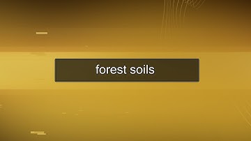 Forest Soils - Colloids III