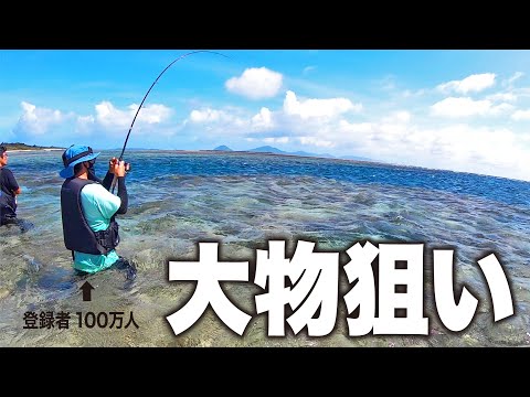 【過酷】1日でどれだけ釣れるか挑戦してみると…【ハイサイ探偵団#2】