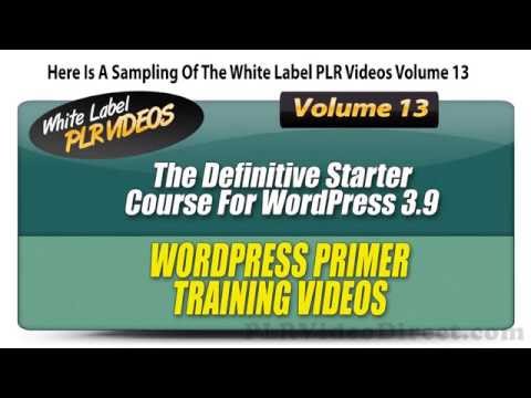WordPress Primer - White Label PLR Videos Volume 13