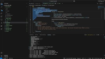 PayPal MCP & Google ADK Integration Demo - Understand Code- Part 3