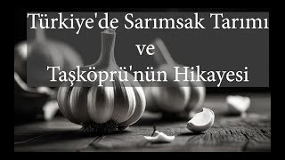 Türkiye'de Sarımsak Tarımı ve Taşköprü'nün Hikayesi
