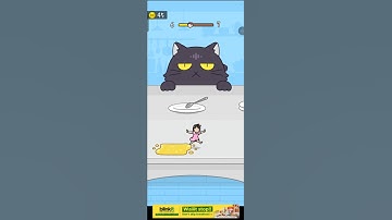Hide and seek cat escape 6#shorts