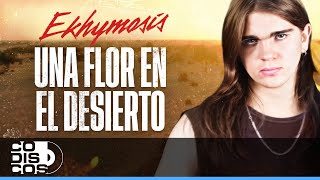 Una Flor En El Desierto, Ekhymosis - Video