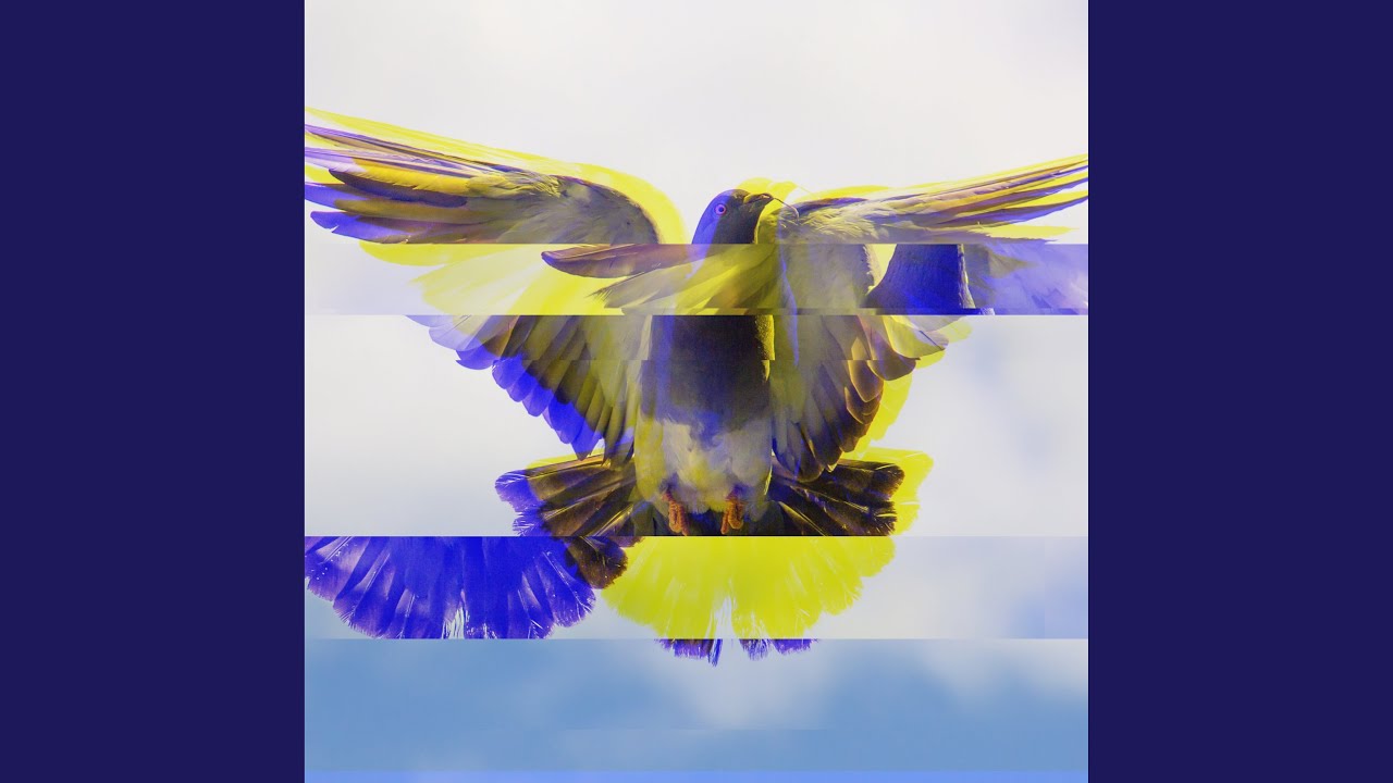 The Pigeonhole Principle YouTube