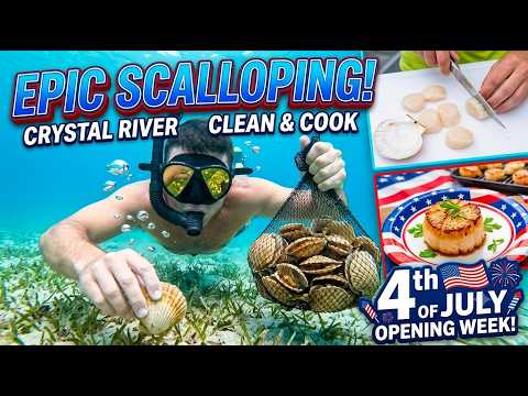 Crystal River Scalloping 2026: Epic Opening Week Catch, Clean, and Cook!