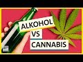 Alkohol vs Cannabis: Warum Trinken legal und Kiffen illegal ist! | Possoch klärt | BR24