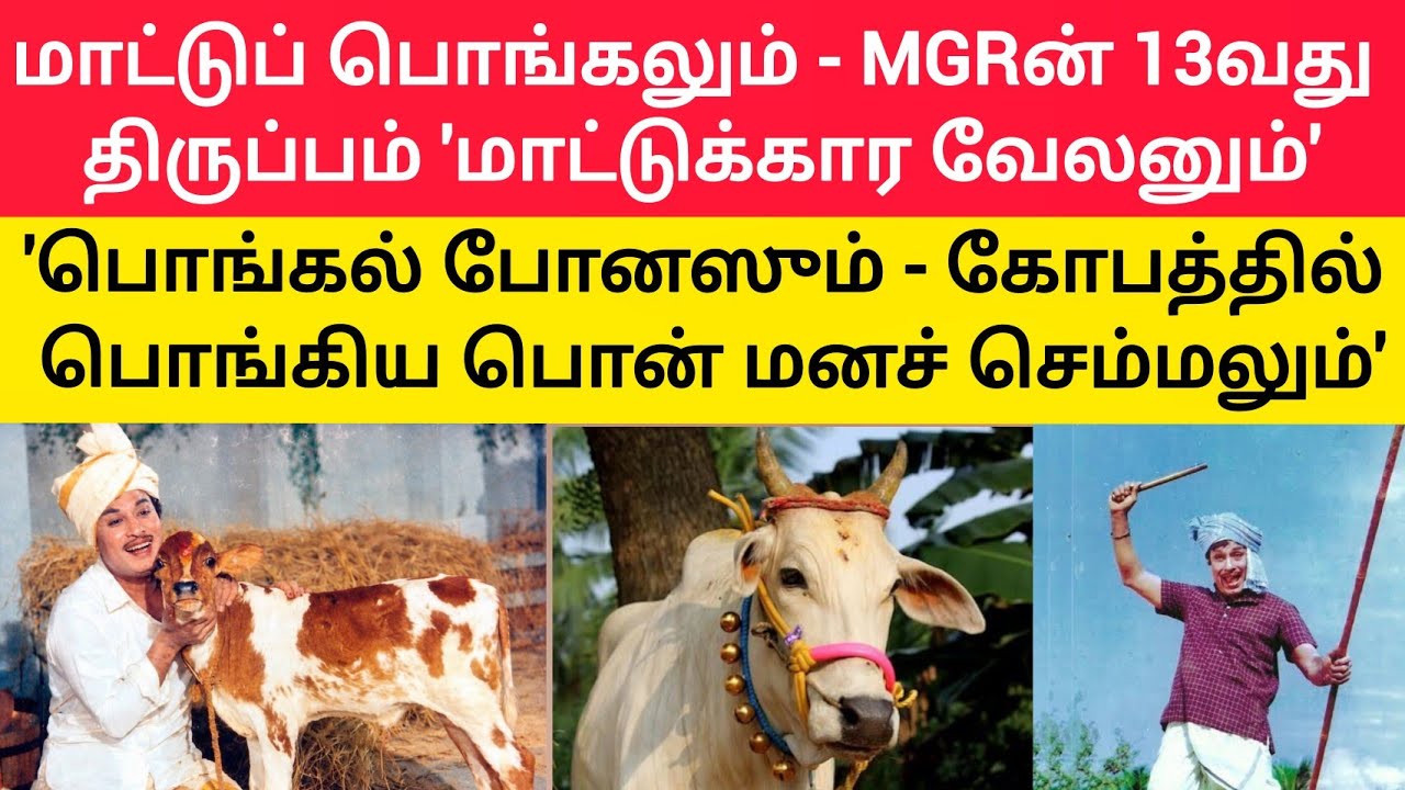 MGR - 'அறிவை மீறிய அற்புதன்' I Thamizh Thee