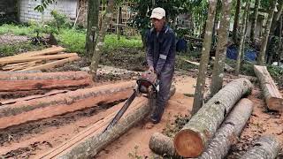 Chainsaw Cutting Tips for Clean and Smooth Results