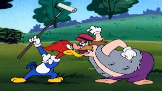 Who Is The Hardest Worker? | Woody Woodpecker