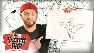 How To Draw A Chicken Step By Step Earth Sketch Pad Bbc Earth Kids