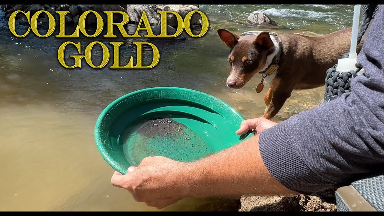 Gold Prospecting in Colorado South Boulder Creek Gold! YouTube