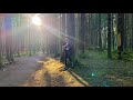 Костя Битеев - beautiful lover (forest session)