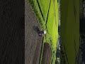 蕎麦の浅耕 Soba sowing#agriculture #dji #drone #rice #aerial #tractor #トラクター #ヤンマー #田んぼ