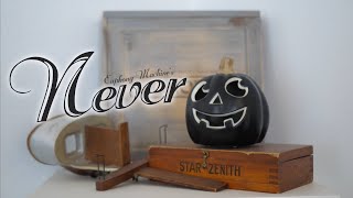 The Euphony Machine - Never (OFFICIAL VIDEO)