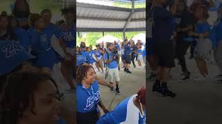 Blu Atlanta Cookout 2024 - Zetas strolling to Cake
