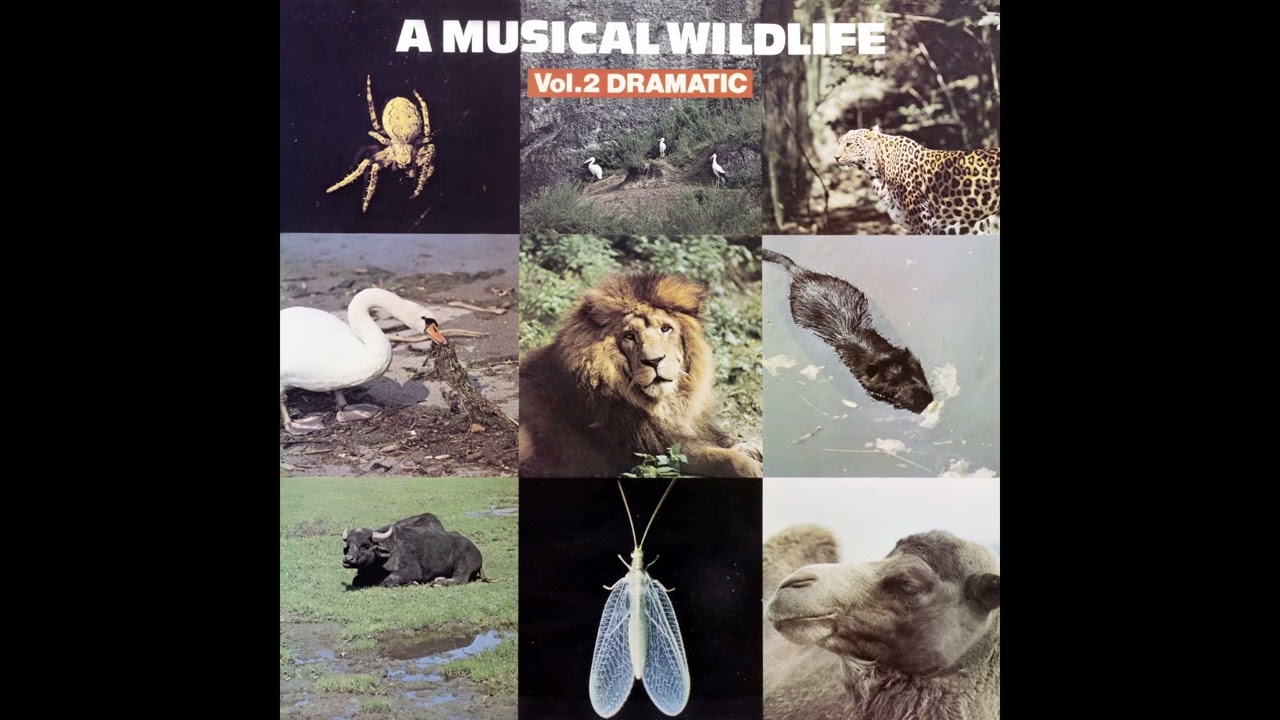 Prowler Link Sam Sklair Sam Sklair