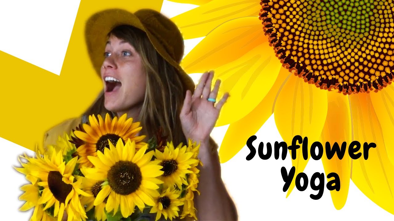 Sunflower Yoga Kids Yoga YouTube