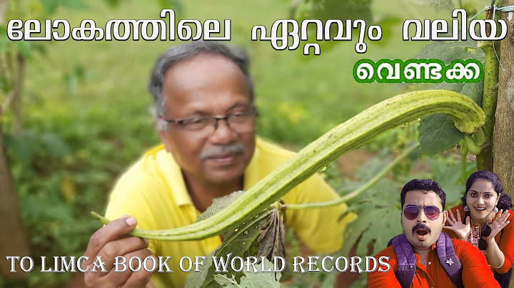 ലോകത്തിലെ ഏറ്റവും വലിയ വെണ്ടയ്ക്ക ഇതാ ഇവിടെ! 😮| LONGEST LADY FINGER IN THE WORLD| Come on everybody