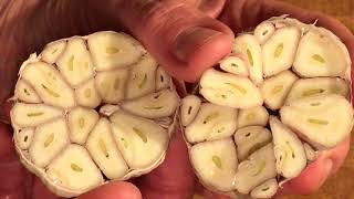 A look inside bulb of garlic and tips . get the chefs blocks here;
http://www.chefdepot.com/kitchentables.htmpro knives ;
http://www.chefdepo...