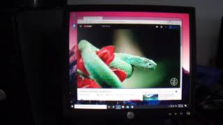 Monitor Dell 17  e173Fpf (Con detalle)