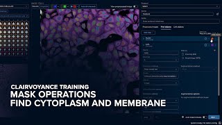 Mask Operations: Find Cytoplasm and Membrane | Clairvoyance