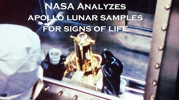 How NASA Analyzed Apollo Moon Samples For Life