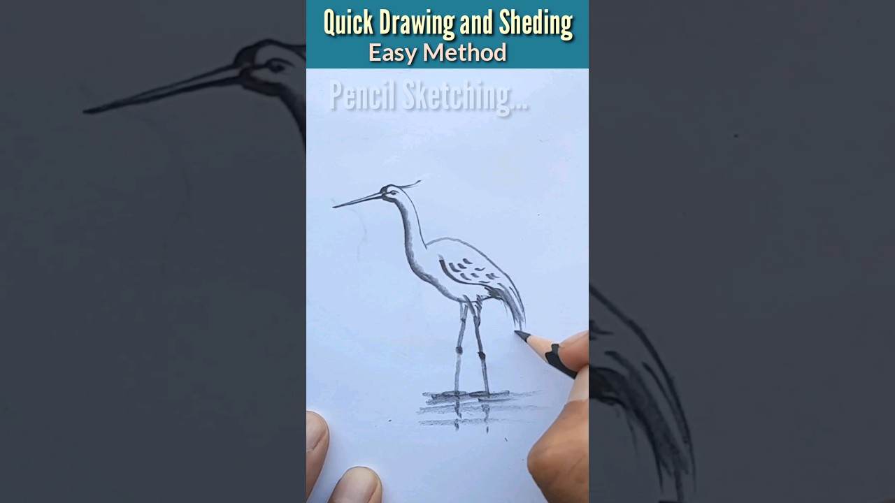 QUICK Drawing and Shading EASY METHOD |✏️Pencil Sketch HERON 