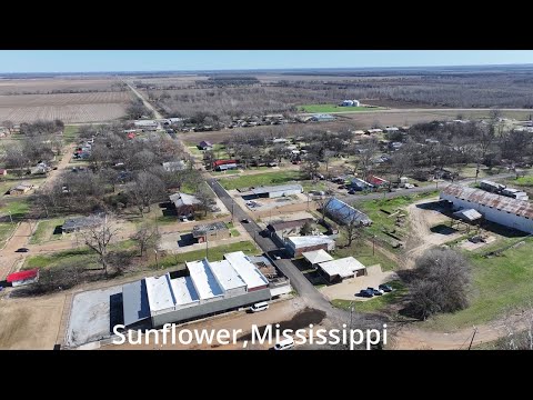 Sunflower: A Small Town At The Heart Of The Mississippi Delta