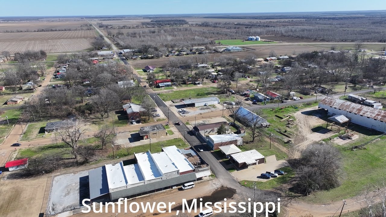 Санфлауэр: небольшой городок в самом сердце дельты реки Миссисипи.