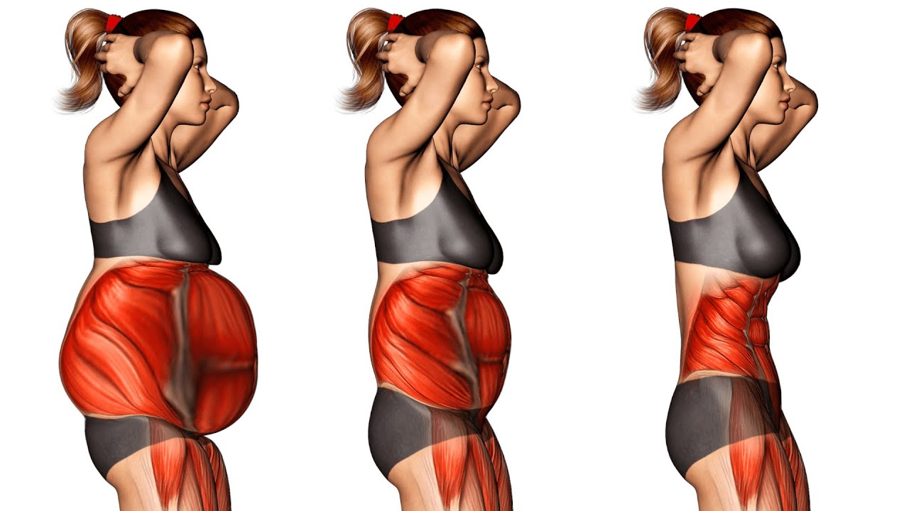 30 Minute Exercise Routine To Lose Belly Fat Daily Exercise For Women 30-minute-exercise-routine-to-lose-belly-fat-daily-exercise-for-women