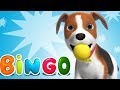 Bingo | canção dos desenhos animados para crianças | rimas de berçário | Little Treehouse Português