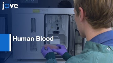 Mutational Load and Clonal Composition of Human Blood | Protocol Preview