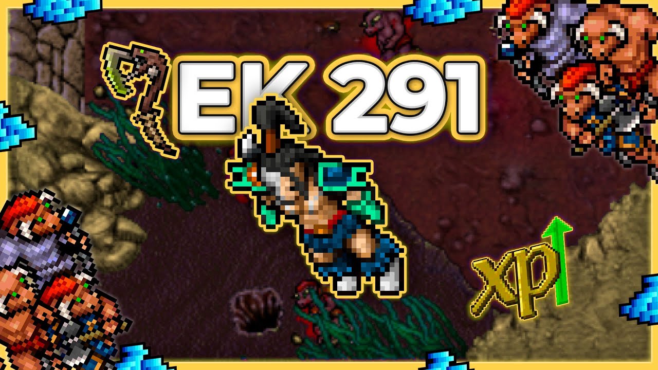 EK 291 Hunt Solo Minotaur Cult 575k Profit/h - Tibia Hunt [12.90] # ...