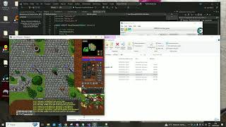 Creating a base for reversing Tibia otserver Profile