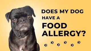 Does my dog have a Food Allergy?  How to identify Allergies and Eliminate them from your Dog's Diet