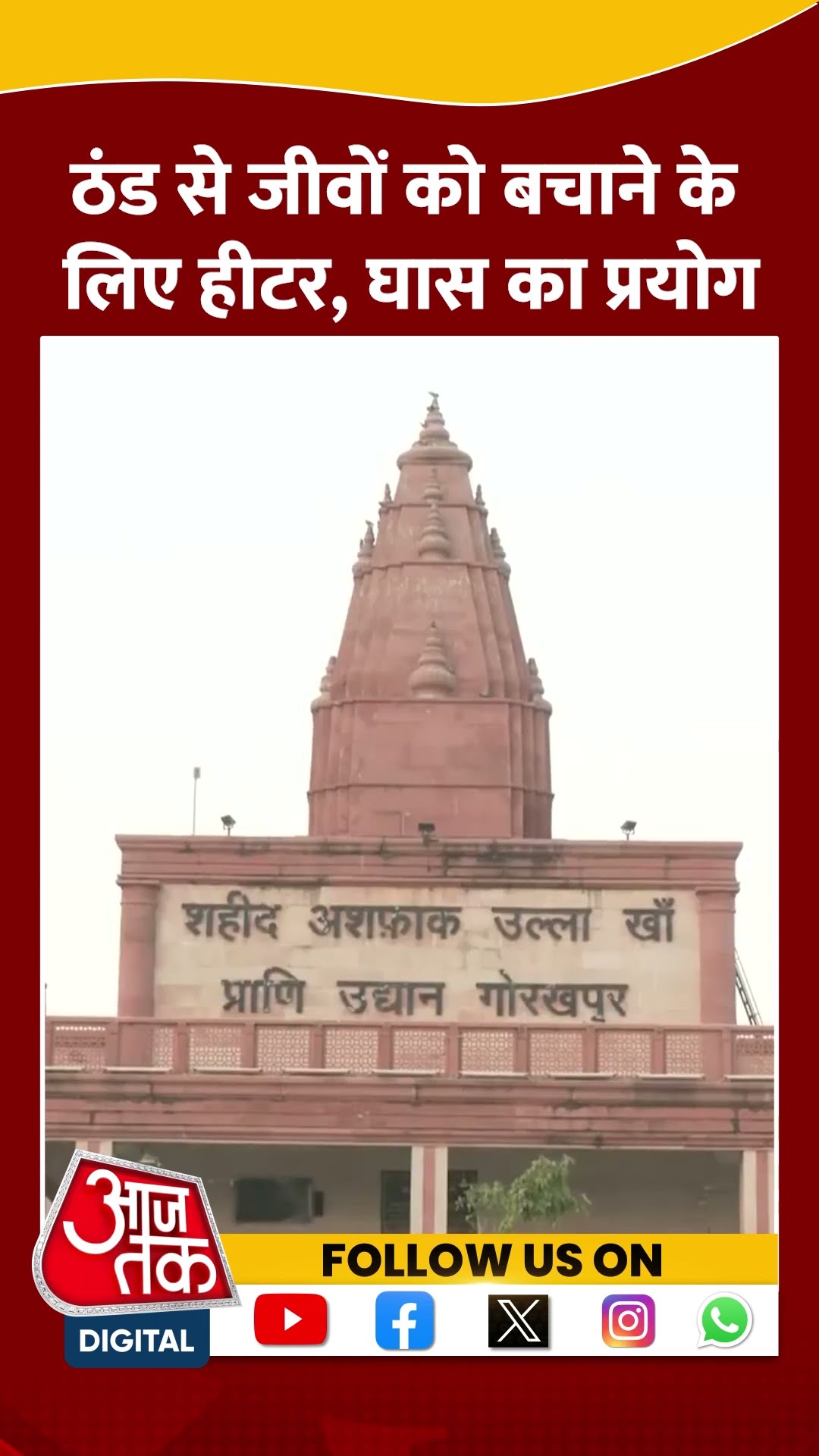 ठंड से जीवों को बचाने के लिए Heater, घास का प्रयोग #shorts #viral #shortvideo #gorakhpur #cold