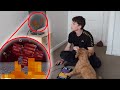My Dog Defeats The Wither Boss in Minecraft