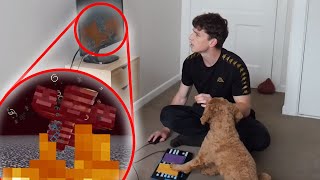 My Dog Defeats The Wither Boss in Minecraft