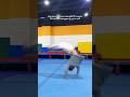 Backhandspring tutorial - cara pasti bisa salto!!