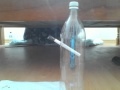 Con Hidroponía Una Botella