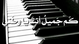 كَم جَميلٌ أنتَ يا وَطَني ؟! قصيدة مؤثرة عن الوطن بالعربية الفصحی {بقلمي} 😊💜