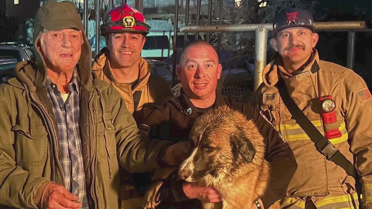 Dog rescued in Albuquerque after getting head stuck in truck wheel ...