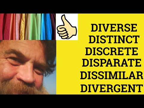 Diverse Disparate Dissimilar Divergent Distinct Discrete - Diverse Meaning - Disparate Examples