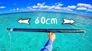 The Worlds Biggest Lure (That Actually Works)