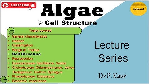 Cell Structure in Algae | Cell wall in Algae | Flagella in Algae | M.Sc | NEET | TGT PGT Biology